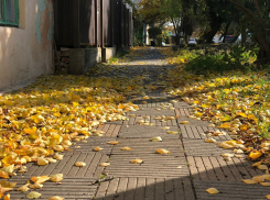 В День чистки зубов в Анапе по-прежнему пасмурно и тепло