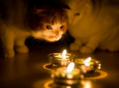 25 октября в хуторах под Анапой пропадёт свет