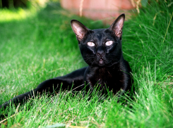 Что ждет анапчан в пятницу 13-го? 