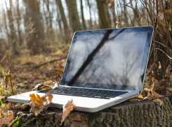 День исполнения желаний и день без Wi-Fi в Анапе будет солнечным