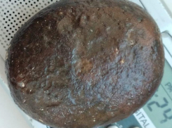 Предмет, похожий на метеорит, нашли в Анапе на Лысой горе