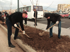 В честь 100-летия СКК «ДиЛУЧ» в Крещенском парке Анапы высадили кленовую аллею 