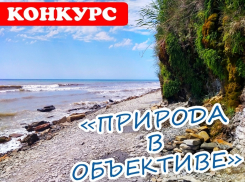 Новый конкурс «Природа в объективе» уже стартовал в инстаграме