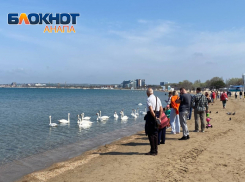 Похолодание - не помеха: в Анапе продолжают наслаждаться весной