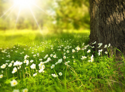 Сегодня погода в Анапе к вечеру прояснится