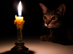 В одном селе под Анапой сегодня, 2 августа, отключат свет