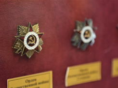 Школьников Анапы познакомили с наградной системой России