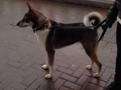 В Анапе пропали две красавицы, и обеих зовут Саманта