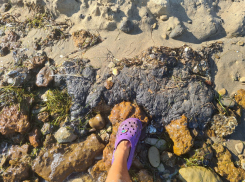 В Анапе возможны новые выбросы мазута 