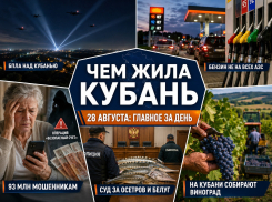 93 миллиона мошенникам, беспилотники над Кубанью и бензин не на всех АЗС: чем запомнилось 28 августа