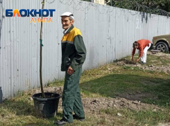 От конфликта к сотрудничеству: жители Анапы и бизнес находят общий язык