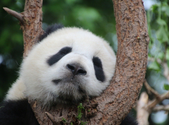 Гороскоп для анапчан с 3 по 9 мая: Водолеям лучше взять отдых