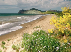 В Анапе появится природный парк «Анапская пересыпь»