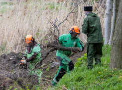 В Анапе пройдет субботник на плавнях 