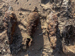 Эхо войны: в Анапе обнаружили три минометные мины