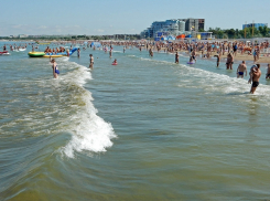 С анапских пляжей вывезли около 400 тонн камки