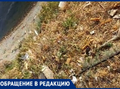 Мусор и осколки – во что превратился берег моря при реконструкции кафе «Шатер»