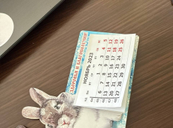 Новогодние каникулы могут продлить 