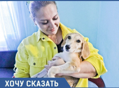 «Больного «старичка» выбросили на улицу»: анапский волонтер - о судьбе бездомных животных