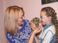 Поверить в мечту Маше помог предприниматель из Анапы!