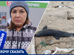 Если не убрать – есть риск заражения инфекцией»: анапчанка о мертвом дельфине на пляже