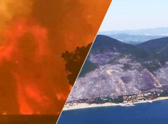 Из-за пожара недалеко от Анапы возбуждено уголовное дело о халатности – муниципальные власти не справляются