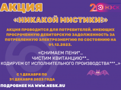 АО «НЭСК» проводит акцию «Никакой мистики!»