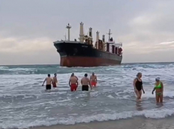 Анапские моржи устроили заплыв к «Голубой акуле»