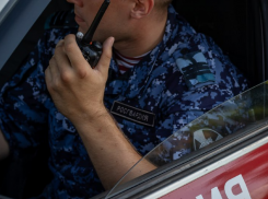 В Анапе росгвардейцы задержали подозреваемых в краже из местного гипермаркета