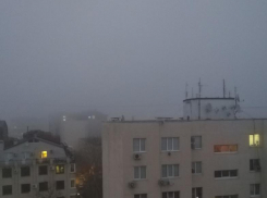 Кто разлил по всей Анапе молоко?