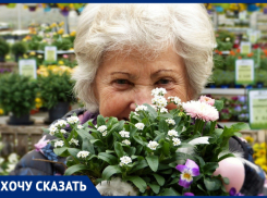 Анапским ветеранам, пенсионерам и инвалидам устроили незабываемое лето