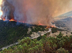 Площадь пожара движется к полсотне гектаров – огонь уже в анапском заповеднике «Утриш»