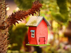 У кого из анапчан могут изъять жилье, как «депрессивное»