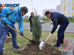 Спасать озеленение Анапы возьмется «Зеленстрой»