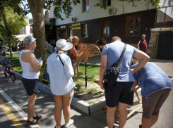 Анапчане не ждут туристов на ковидных «каникулах», а те пишут: «Всё равно приедем»