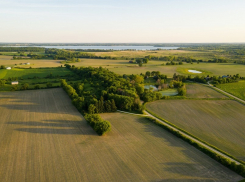 Не по карману: сельхозземли под Анапой одни из самых дорогих в стране
