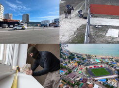 Избиение собаки и финансовая пирамида – чем анапчанам запомнилась уходящая неделя