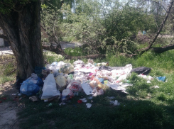 «И снова здравствуйте», или Анапе опять нужен масштабный субботник