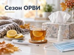 Сезон ОРВИ начался: как отличить грипп от простуды, чем лечиться и когда срочно нужен врач