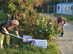 Где в Анапе обустроят 6 новых парков: готовится проектно-сметная документация