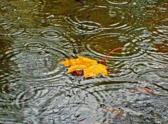 Погода в Анапе на 24 декабря