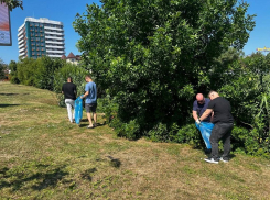 В Анапе и Пятихатках сегодня прошли субботники