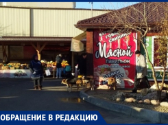 «Стая бродячих собак нагоняет страх на прохожих»,-призналась жительница Анапы