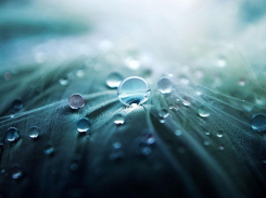 Новая неделя в Анапе начнётся с дождя