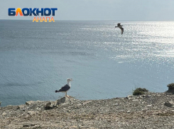 «Следующее лето будет совсем другим» – климатолог о погоде в Анапе в ближайшие годы