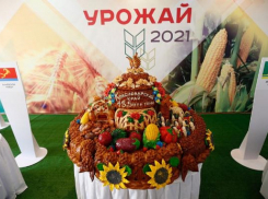 Анапские аграрии показали прирост урожая, в среднем на 10%