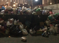 Блокнот направил запрос в компанию по сбору и вывозу мусора в Анапе