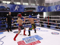 В Анапе пройдут соревнования по смешанному единоборству (ММА)