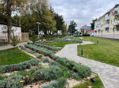 День сотрудника органов внутренних дел РФ порадует анапчан ясной погодой