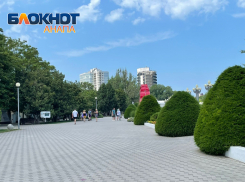 Курортный сбор на Кубани с начала года принес в бюджет края 236,7 млн рублей 